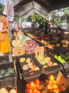 Located just 20 minutes north of the happiest place on earth, Winter Park is a charming town filled with world-class art museums, an upscale shopping district, fine-dining, sidewalk cafes, and luxury accomodations. This is your ultimate guide to Winter Park Florida! #vacation #travel #trip #springbreak #summer #traveltips #thingstodo #winterpark #florida #centralflorida #orlando #visitflorida #floridavacation #floridatrip Things to Do in Winter Park Florida | Things to do in Orlando Florida