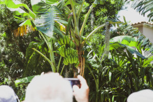 Located just 20 minutes north of the happiest place on earth, Winter Park is a charming town filled with world-class art museums, an upscale shopping district, fine-dining, sidewalk cafes, and luxury accomodations. This is your ultimate guide to Winter Park Florida! #vacation #travel #trip #springbreak #summer #traveltips #thingstodo #winterpark #florida #centralflorida #orlando #visitflorida #floridavacation #floridatrip Things to Do in Winter Park Florida | Things to do in Orlando Florida