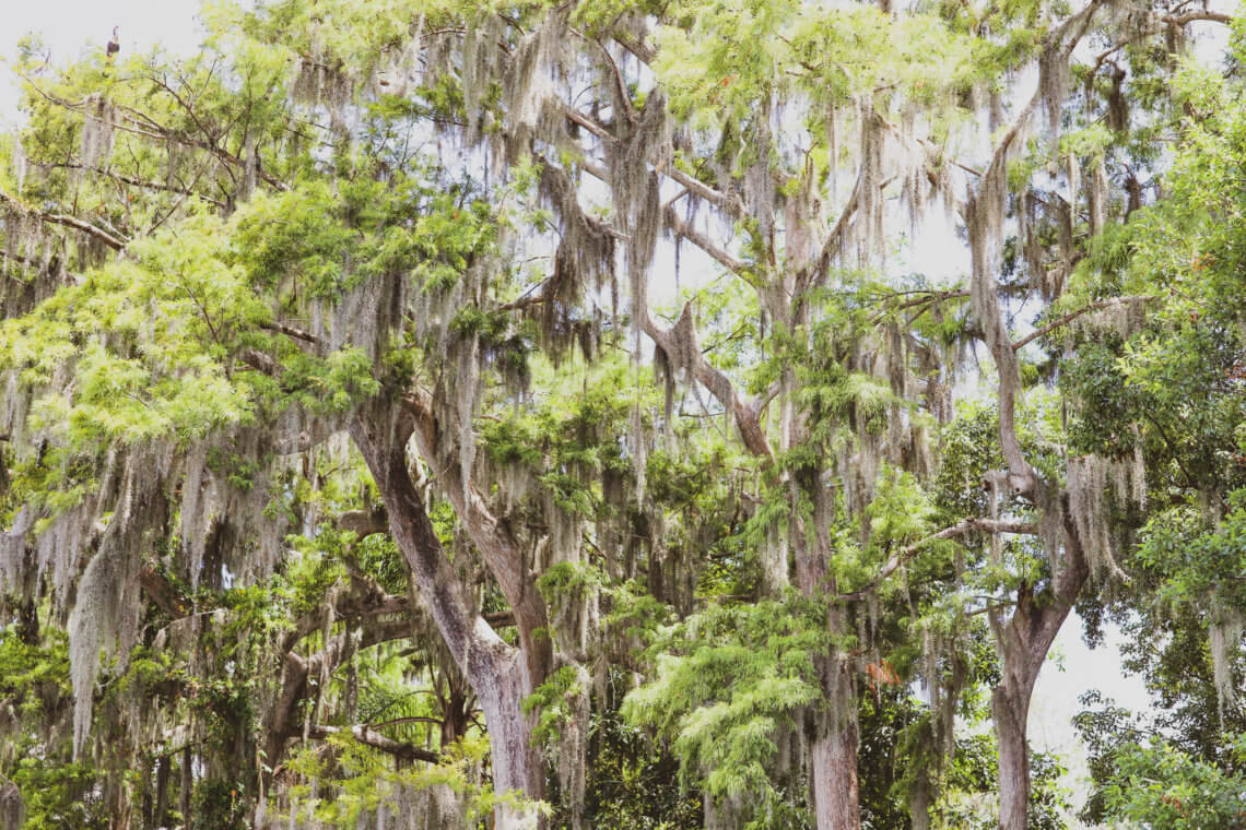 Located just 20 minutes north of the happiest place on earth, Winter Park is a charming town filled with world-class art museums, an upscale shopping district, fine-dining, sidewalk cafes, and luxury accomodations. This is your ultimate guide to Winter Park Florida! #vacation #travel #trip #springbreak #summer #traveltips #thingstodo #winterpark #florida #centralflorida #orlando #visitflorida #floridavacation #floridatrip Things to Do in Winter Park Florida | Things to do in Orlando Florida