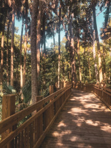 If you are planning to visit Disney, make sure to stop by Celebration, Florida the town that was built by Disney! Celebration has all the charm and magic of Disney with the quaintness of an American small town. Bohemian Hotel | Kissimmee Florida | Downtown Celebration | Non Park Day at Disney | things to do in orlando florida | farmers market orlando florida | #celebration #florida #waltdisneyworld #orlando #floridatravel #disney