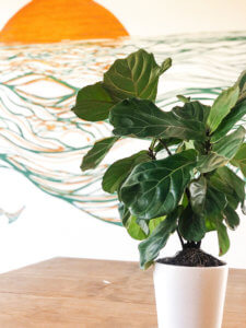 Atlanta's coffee scene is brimming with diverse and unique coffee shops both inside the city and surrounding the city. This is the ultimate guide to all of Atlanta's coffee shops featuring each shop's special qualities and everything you need to know before visiting each shop! #coffee #coffeeshops #atlanta #atlantageorgia #georgia #atlantacoffee #georgiacoffee #atlantacoffeeshops #atlcoffee #atl #atlga Atlanta coffee shops | Atlanta Georgia coffee shops | East Pole | Revelator | Dancing Goats