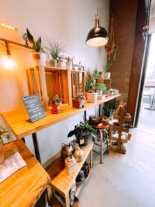 While Charlotte is most known for their breweries, coffee shops have increased in popularity in this diverse and creative city. From eclectic coffee shops to hole-in-the-wall neighborhood cafes, this is a guide to all of the best Charlotte coffee shops! Charlotte, North Carolina | Charlotte coffee | Charlotte NC | North Carolina coffee shops | NC coffee shops #charlottecoffee #charlottecoffeeshops #charlottenc | Hex Coffee | Not Just Coffee | Undercurrent coffee | Stablehand | Summit Coffee