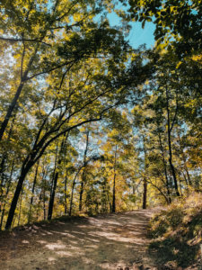 Autumn Bucket List 2021 | Do as Dreamers Do