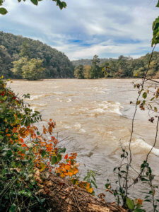 Autumn Bucket List 2021 | Do as Dreamers Do