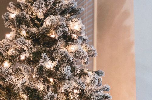 2021 Amazon Holiday Gift Guides | Do as Dreamers Do