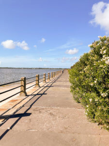 The Ultimate Guide to Charleston, South Carolina - Do as Dreamers Do | The historic, charming town of Charleston is known for its unique architecture, incredible food, rich history, and beauty. #charleston #charlestonsc #charlestonrestaurants #travel guides Charleston South Carolina | Charleston SC | Charleston Travel Guide | Guide to Charleston | Charleston Restaurants | Things to do in Charleston | Where to Stay in Charleston | a weekend in Charleston | south carolina travel | southeast travel 