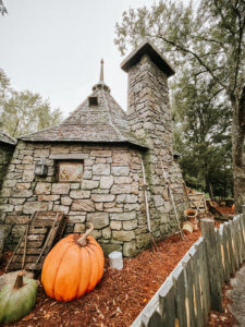 Best Tips for Visiting the Wizarding World of Harry Potter in Orlando Florida for the first time! Everything you need to know including what ticket to buy, what rides to prioritize, and what butterbeer to try! Universal Studios Orlando | Islands of Adventure | Harry Potter Land | Harry Potter World | Hagrid’s Magical Creatures Motorbike Adventure | Hogsmeade | Diagon Alley | Butterbeer ice cream | Harry Potter and the Forbidden Journey | Hogwarts Express | First time guide | first time tips |