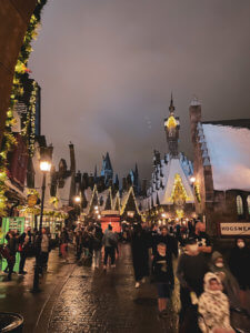 Best Tips for Visiting the Wizarding World of Harry Potter in Orlando Florida for the first time! Everything you need to know including what ticket to buy, what rides to prioritize, and what butterbeer to try! Universal Studios Orlando | Islands of Adventure | Harry Potter Land | Harry Potter World | Hagrid’s Magical Creatures Motorbike Adventure | Hogsmeade | Diagon Alley | Butterbeer ice cream | Harry Potter and the Forbidden Journey | Hogwarts Express | First time guide | first time tips |