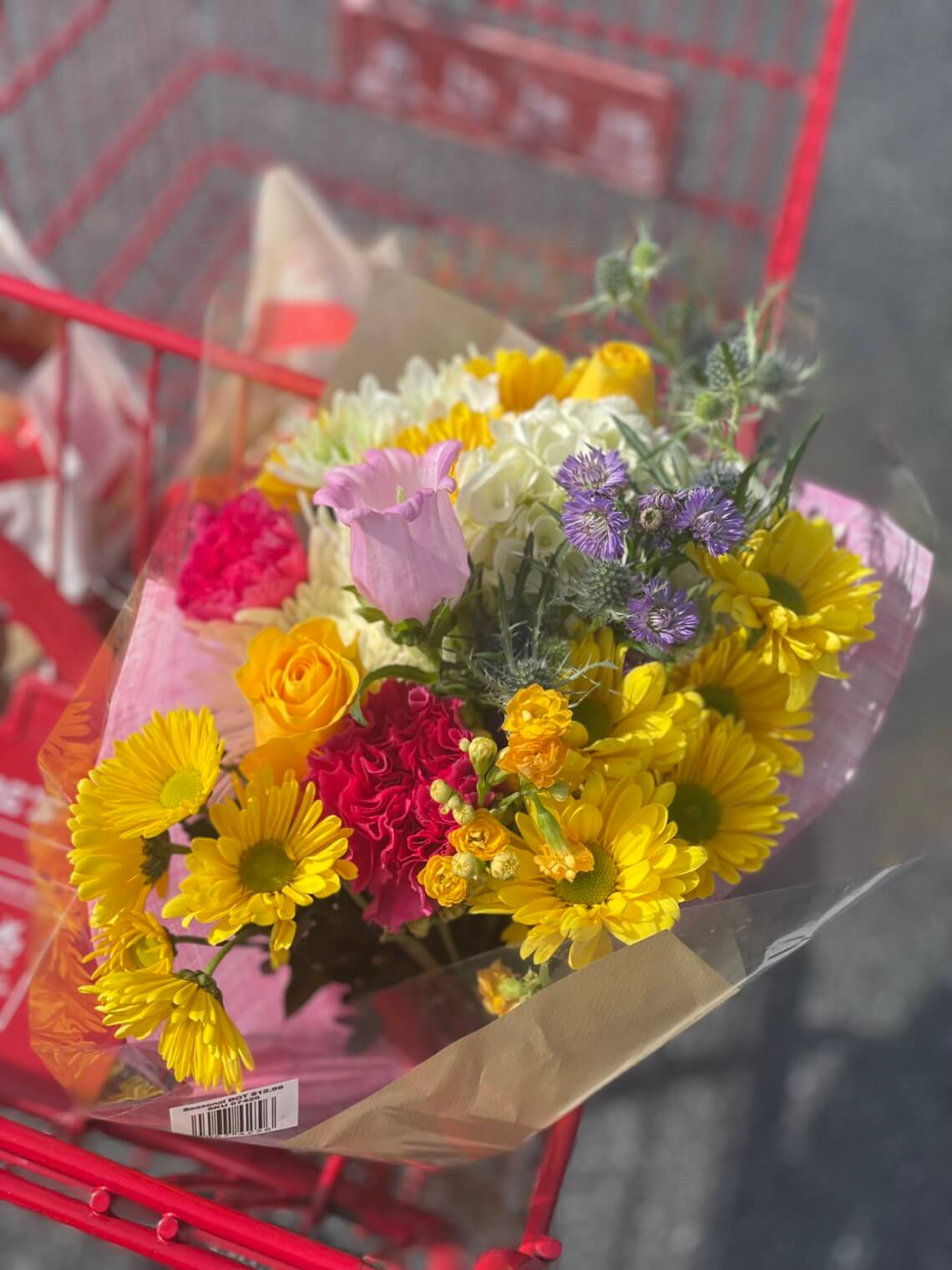 Friday Favorites 04/08/2022 Do as Dreamers Do