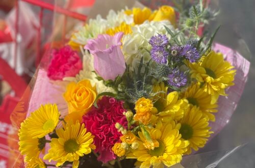 Friday Favorites 04/08/2022 Do as Dreamers Do