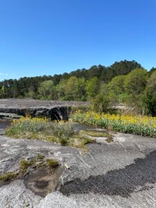 Friday Favorites 04/08/2022 Do as Dreamers Do Friday Favorites 04/08/2022 Do as Dreamers Do